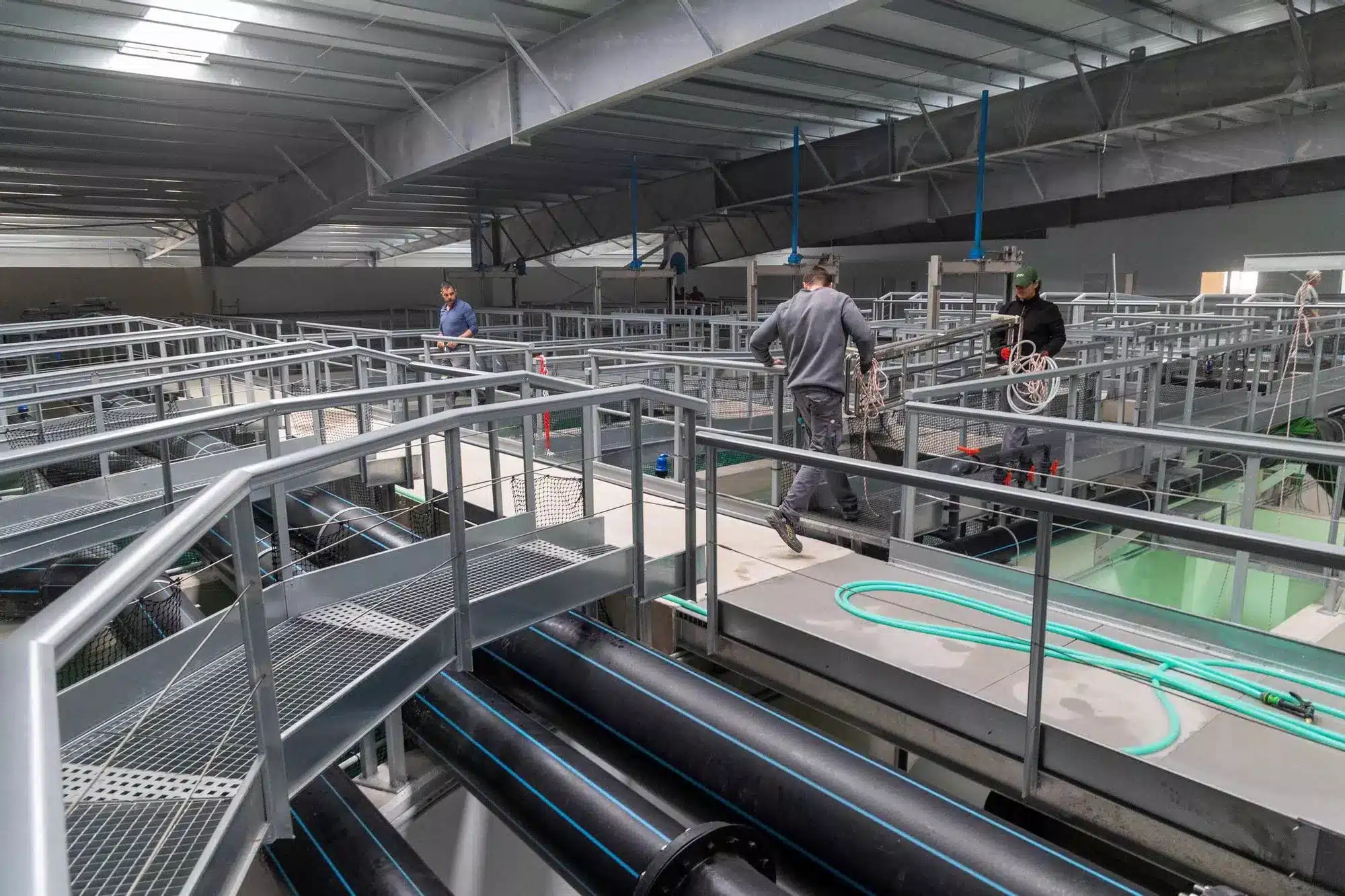 ¡Damos un paso de gigante! Inauguramos en Alicante la primera piscifactoría terrestre de Seriola Ibérica del mundo